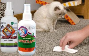 Как можно сделать Антигадин для кошек своими руками
