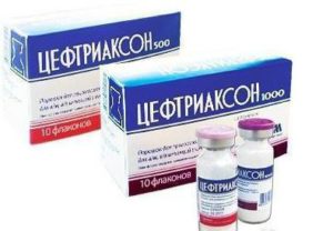 Какие болезни кошек лечат Цефтриаксоном 