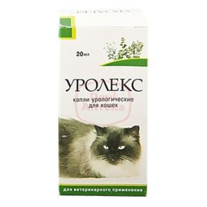 Как применять Уролекс для кошек 